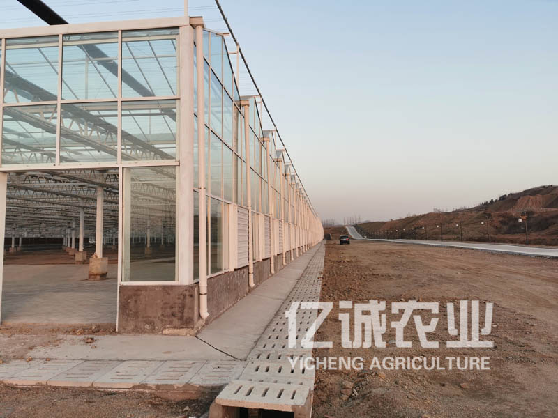 玻璃做的溫室大棚好嗎?一次投資,常年受益